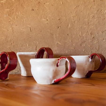 Rosochaty Rog Siedlisko Wigry Bed & Breakfast エクステリア 写真