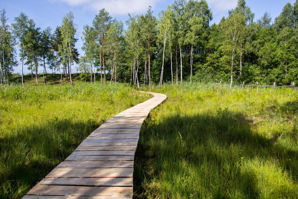 Rosochaty Rog Siedlisko Wigry Bed & Breakfast エクステリア 写真