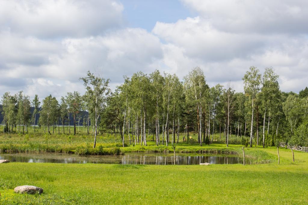 Rosochaty Rog Siedlisko Wigry Bed & Breakfast エクステリア 写真