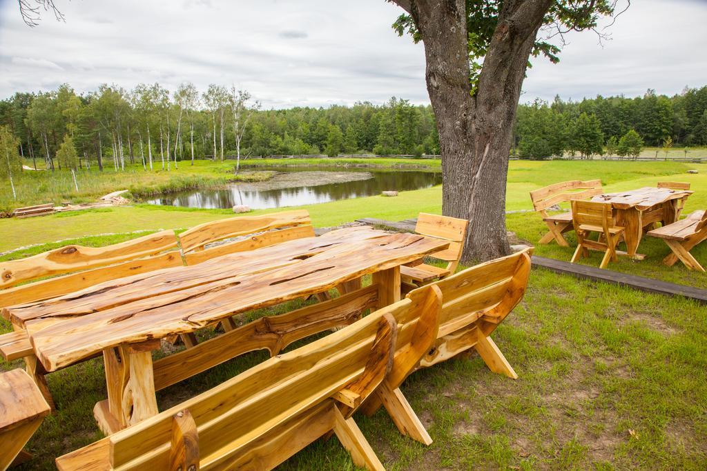 Rosochaty Rog Siedlisko Wigry Bed & Breakfast エクステリア 写真