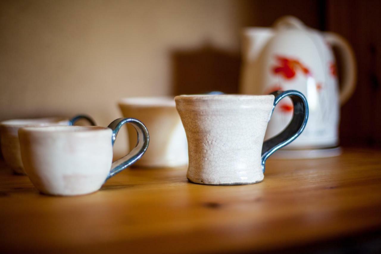 Rosochaty Rog Siedlisko Wigry Bed & Breakfast エクステリア 写真