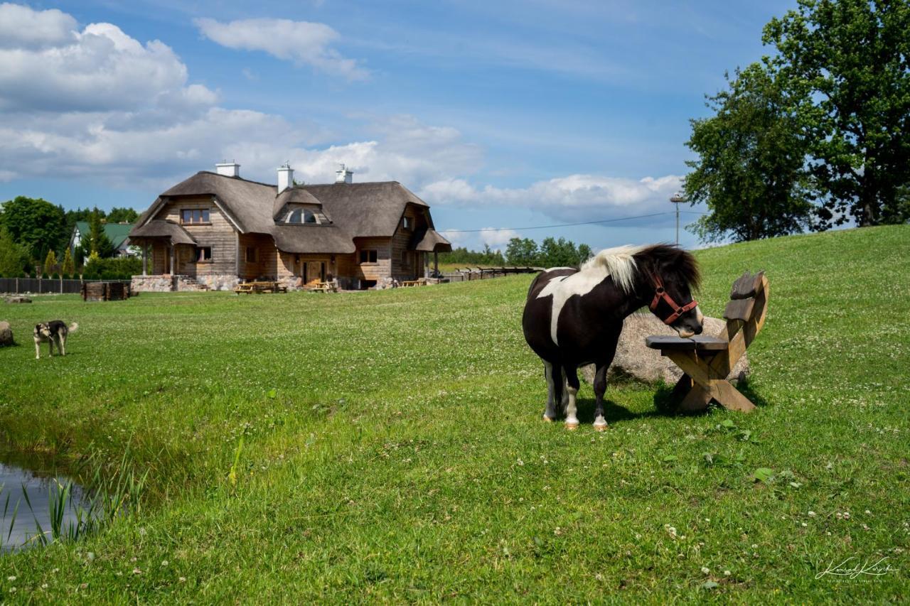 Rosochaty Rog Siedlisko Wigry Bed & Breakfast エクステリア 写真