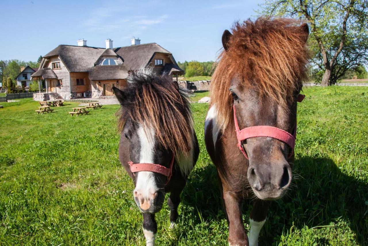 Rosochaty Rog Siedlisko Wigry Bed & Breakfast エクステリア 写真