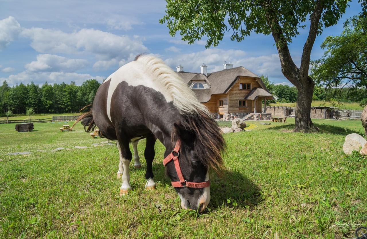 Rosochaty Rog Siedlisko Wigry Bed & Breakfast エクステリア 写真